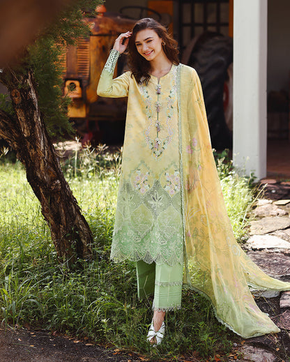 Solace Ombre Chikankari | Quiet Bloom | 2026 | Mushq