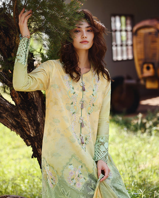 Solace Ombre Chikankari | Quiet Bloom | 2026 | Mushq