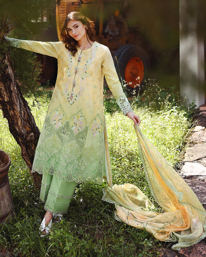 Solace Ombre Chikankari | Quiet Bloom | 2026 | Mushq