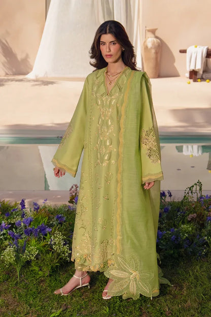 Luxury Eid Collection | 2026 | Nadine | Rang Rasiya