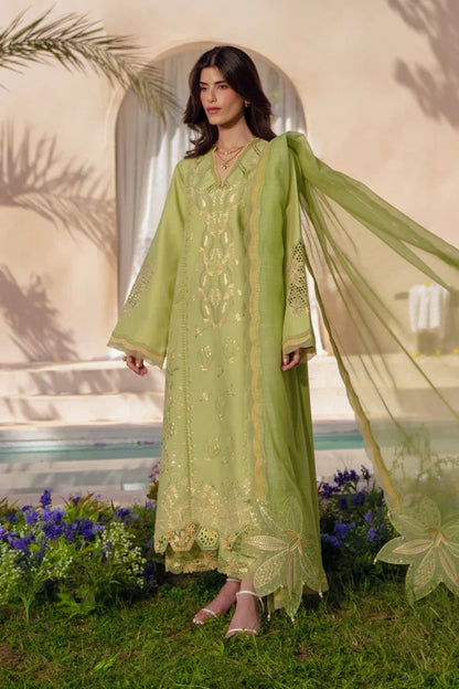 Luxury Eid Collection | 2026 | Nadine | Rang Rasiya