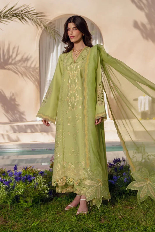 Luxury Eid Collection | 2026 | Nadine | Rang Rasiya