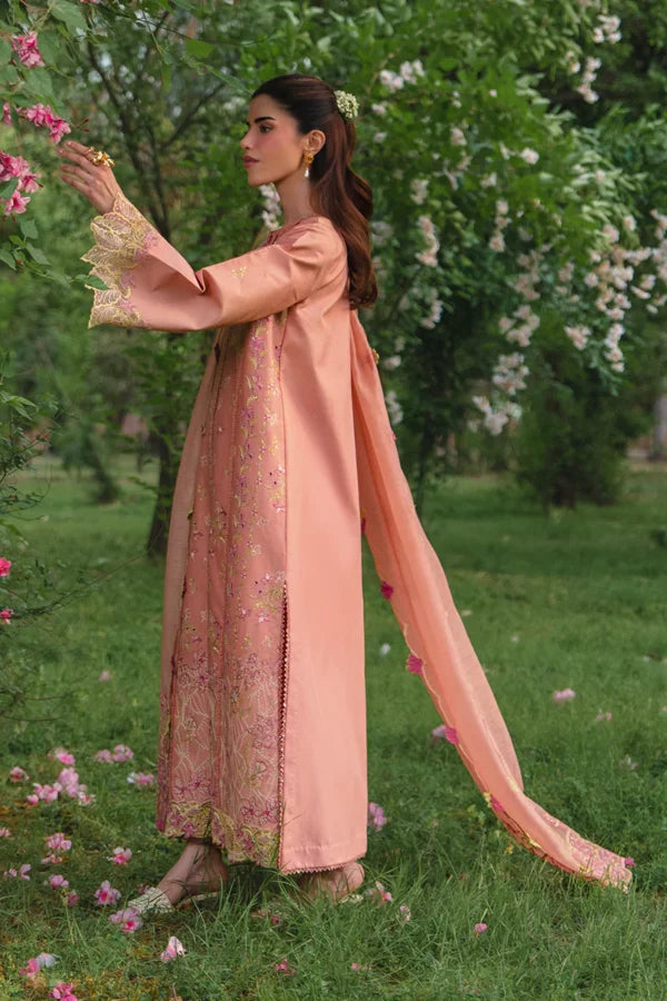 Luxury Eid Collection | 2026 | Rania | Rang Rasiya
