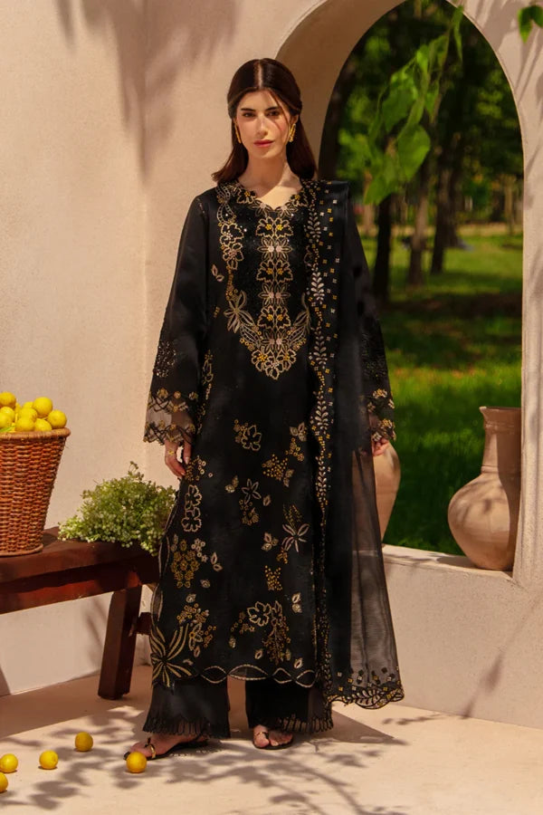 Luxury Eid Collection | 2026 | Layl | Rang Rasiya