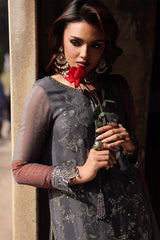 Luxury Chiffon  Vol-II - 2026 - VSL25-41 | Charizma