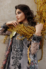 Luxury Chiffon  Vol-II - 2026 - VSL25-44 |Charizma