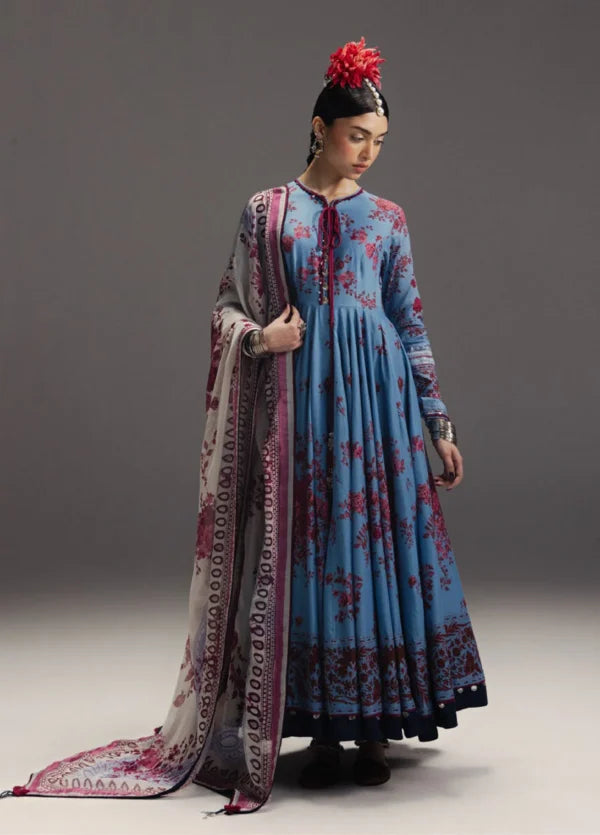 Anarkali | Falak Ara-D2 | Zara Shahjahan