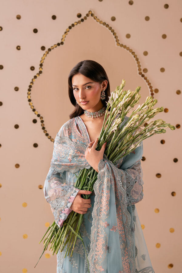 Dastak Luxury Chiffon  Q-301 | 2026 | Ramsha