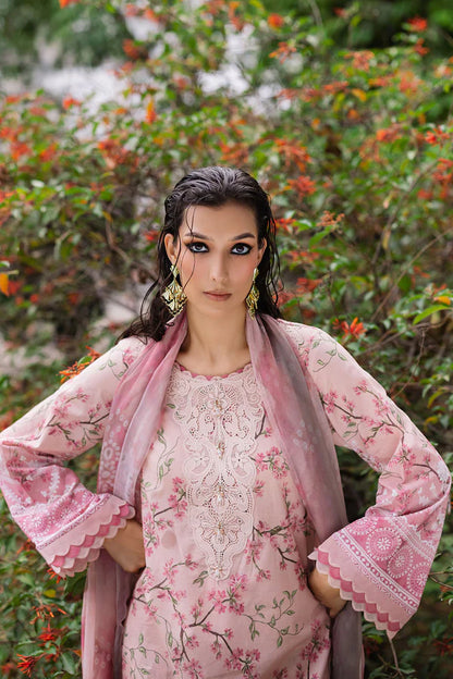 Daily Delight by Nureh -DD-01