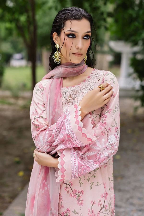 Daily Delight by Nureh -DD-01