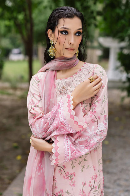 Daily Delight by Nureh -DD-01