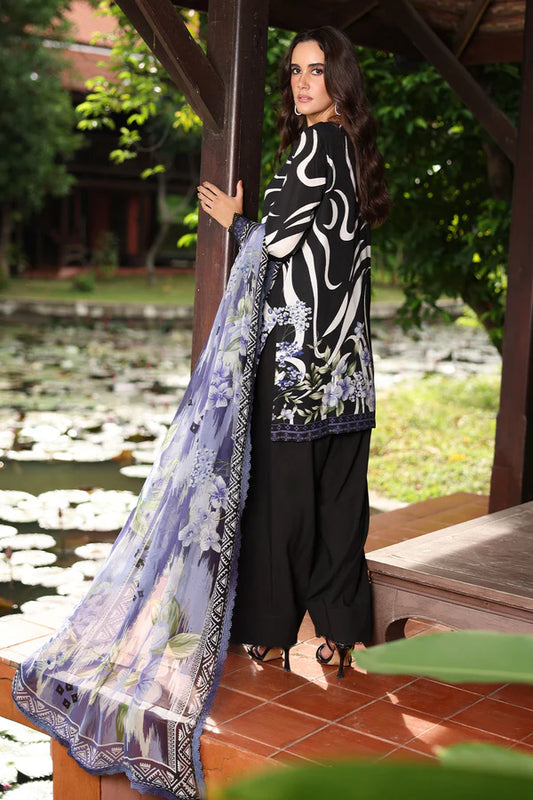 Daily Delight by Nureh -DD-24