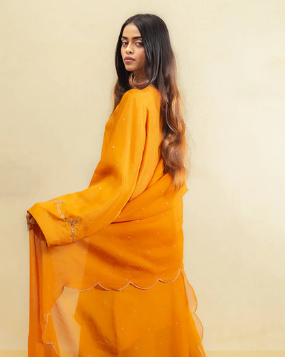 Pitaar Festive Pret'25 by Binaf - Zard