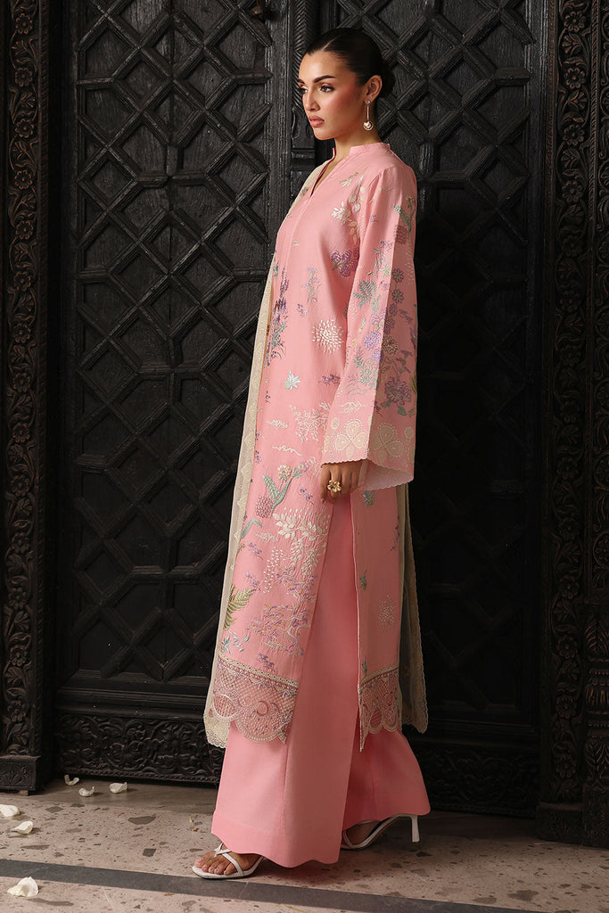 Rosa Essential Lawn | AL-306 | 2026 | Afsanah