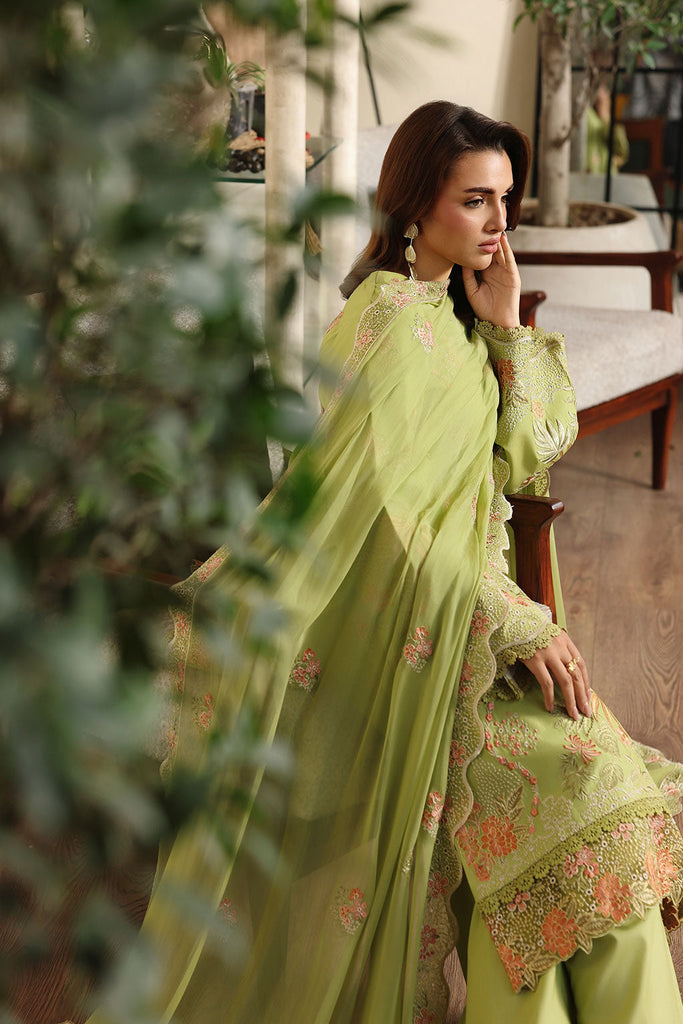 Rosa Essential Lawn | AL-303 | 2026 | Afsanah