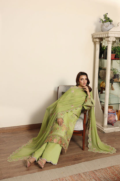 Rosa Essential Lawn | AL-303 | 2026 | Afsanah