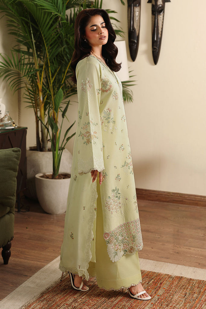Rosa Essential Lawn | AL-309 | 2026 | Afsanah