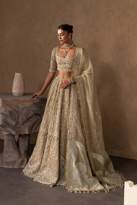 Afrozeh Brides Collection 2026 || Evline