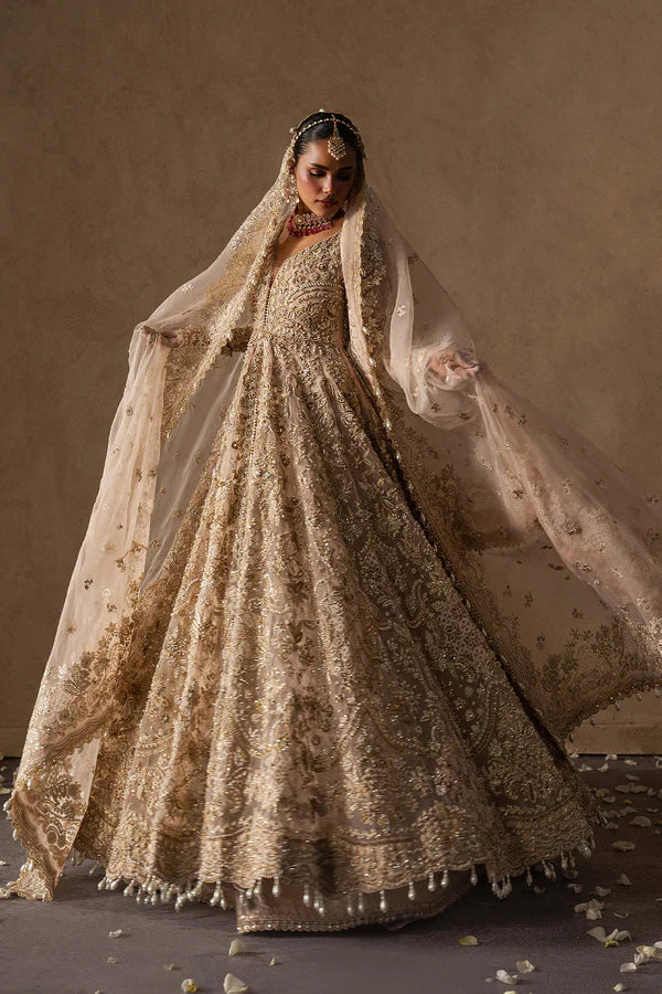 Afrozeh Brides Collection 2026 || Catarine