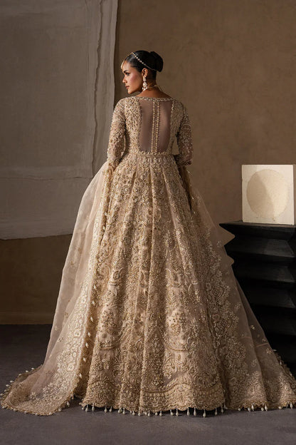 Afrozeh Brides Collection 2026 || Catarine