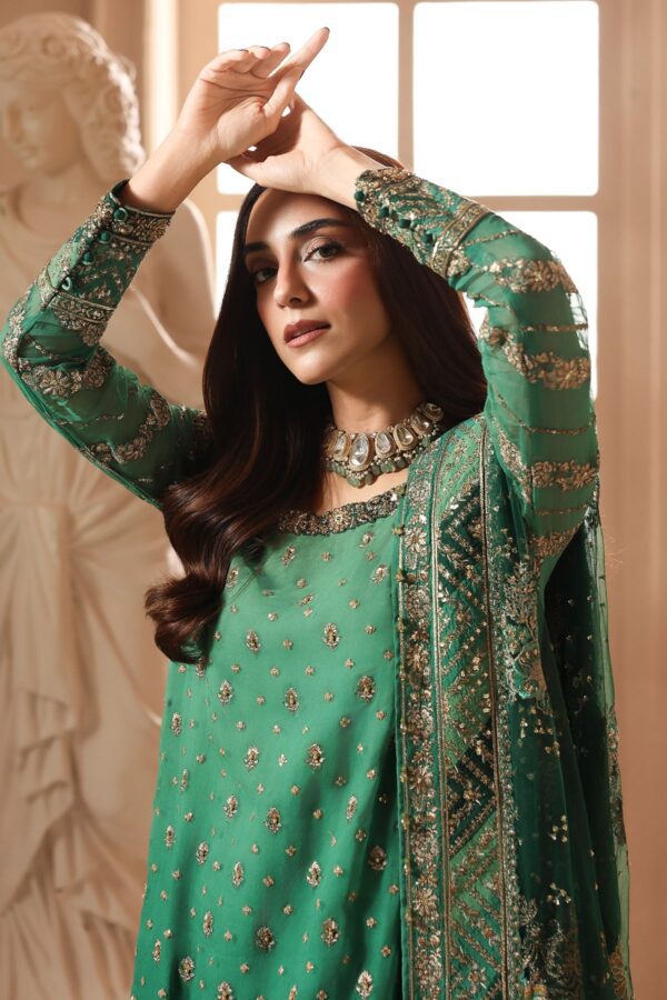 Embroidered Luxury Chiffon DJW6-03 | 2026 | Charizma