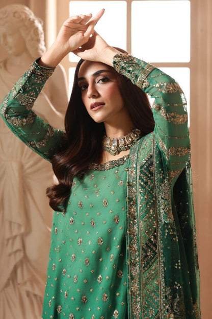 Embroidered Luxury Chiffon DJW6-03 | 2026 | Charizma