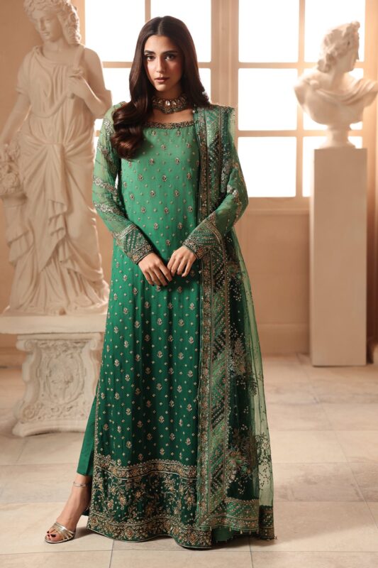 Embroidered Luxury Chiffon DJW6-03 | 2026 | Charizma