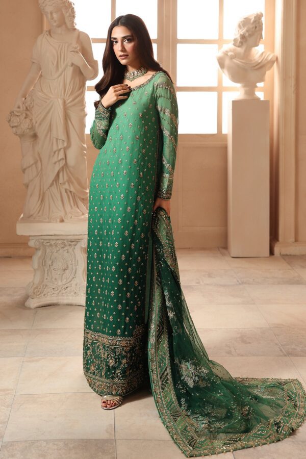 Embroidered Luxury Chiffon DJW6-03 | 2026 | Charizma