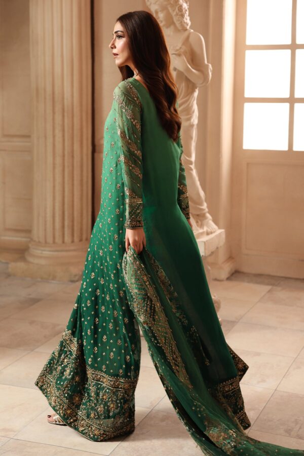 Embroidered Luxury Chiffon DJW6-03 | 2026 | Charizma