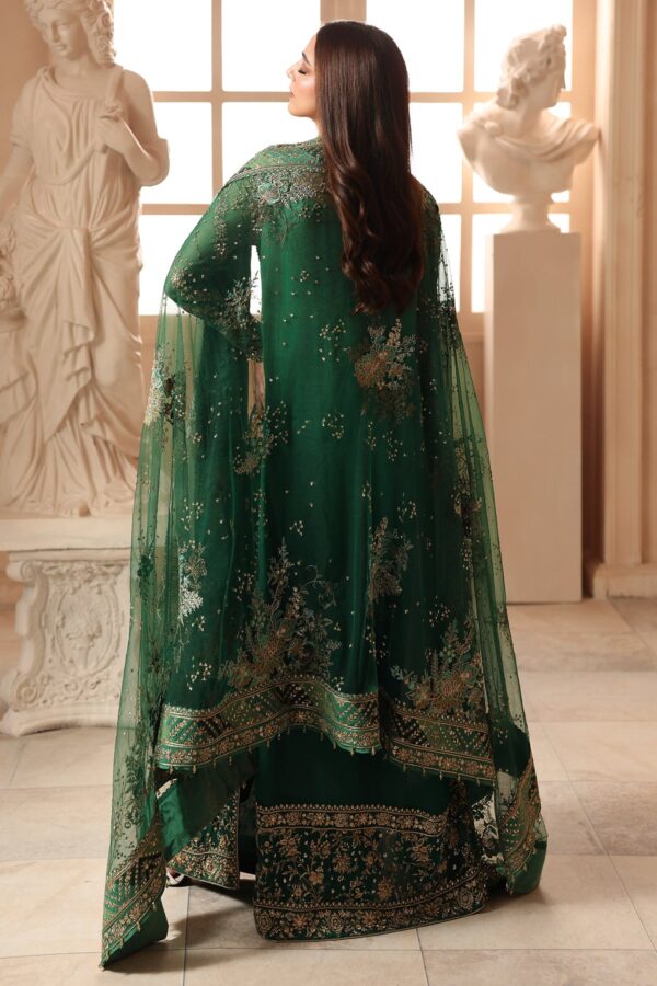 Embroidered Luxury Chiffon DJW6-03 | 2026 | Charizma
