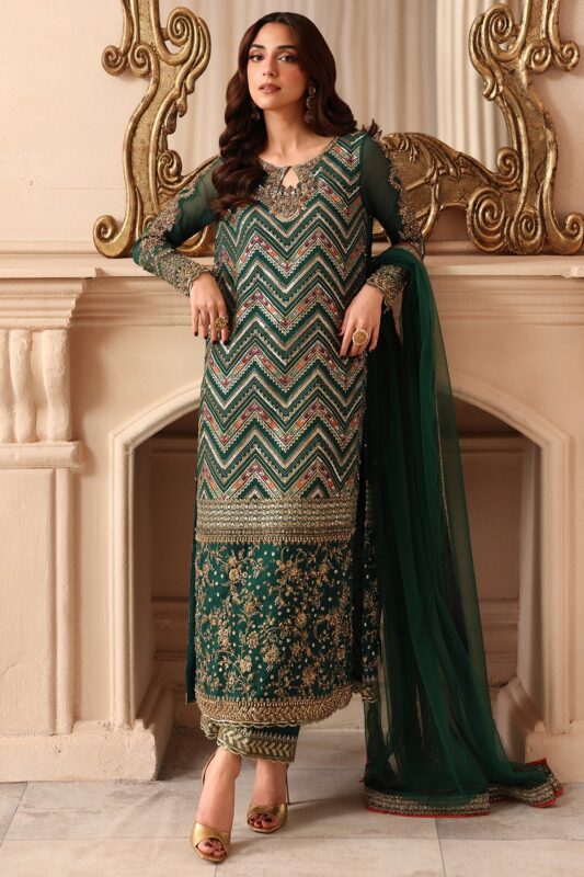 Embroidered Luxury Chiffon DJW6-07 | 2026 | Charizma