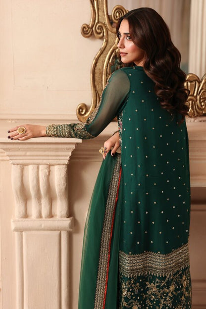 Embroidered Luxury Chiffon DJW6-07 | 2026 | Charizma
