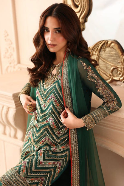 Embroidered Luxury Chiffon DJW6-07 | 2026 | Charizma