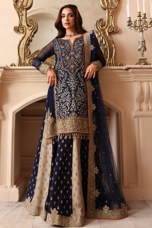 Embroidered Luxury Chiffon DJW6-02 | 2026 | Charizma