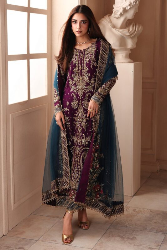 Embroidered Luxury Chiffon DJW6-01 | 2026 | Charizma