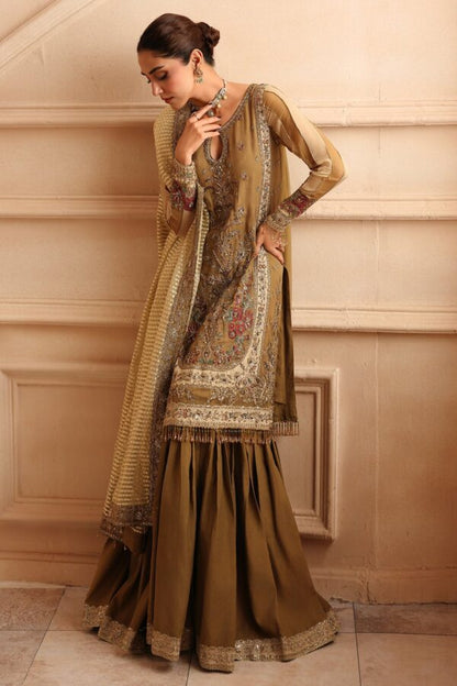 Embroidered Luxury Chiffon DJW6-06 | 2026 | Charizma