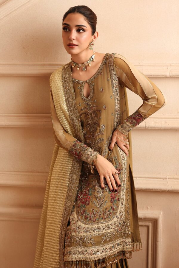 Embroidered Luxury Chiffon DJW6-06 | 2026 | Charizma