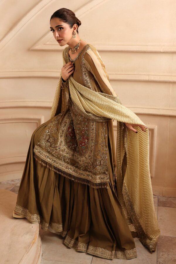 Embroidered Luxury Chiffon DJW6-06 | 2026 | Charizma