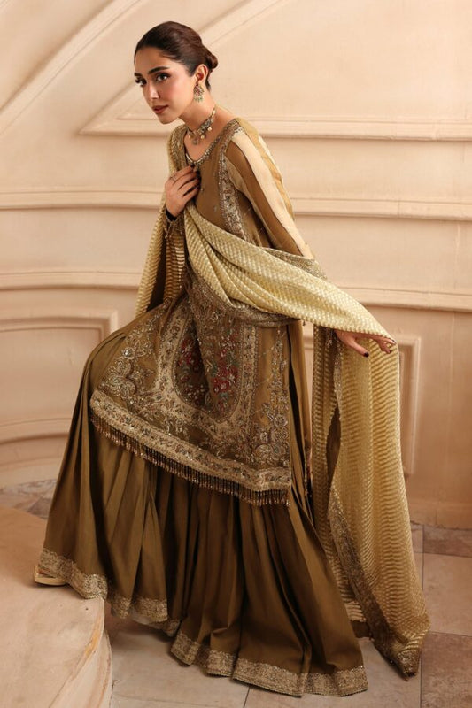 Embroidered Luxury Chiffon DJW6-06 | 2026 | Charizma