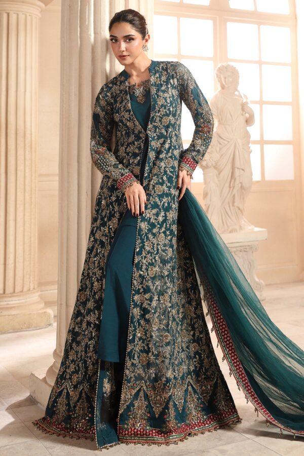 Embroidered Luxury Chiffon DJW6-05 | 2026 | Charizma