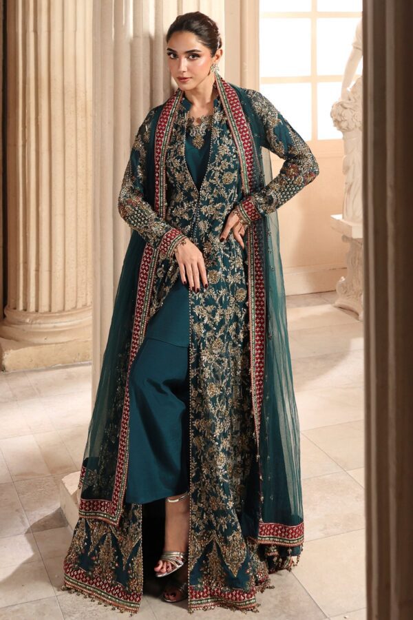 Embroidered Luxury Chiffon DJW6-05 | 2026 | Charizma